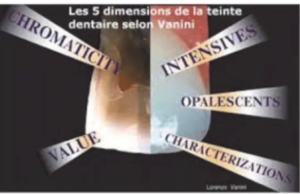 Figure 1 : Les cinq dimensions de la couleur selon Lorenzo Vanini(8) 