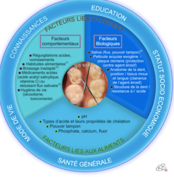 Figure 13 : Conséquence de l’érosion 