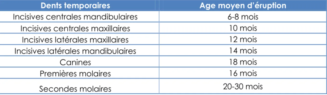 Tableau 1 : Chronologie de l’éruption physiologique des dents temporaires [7]. 