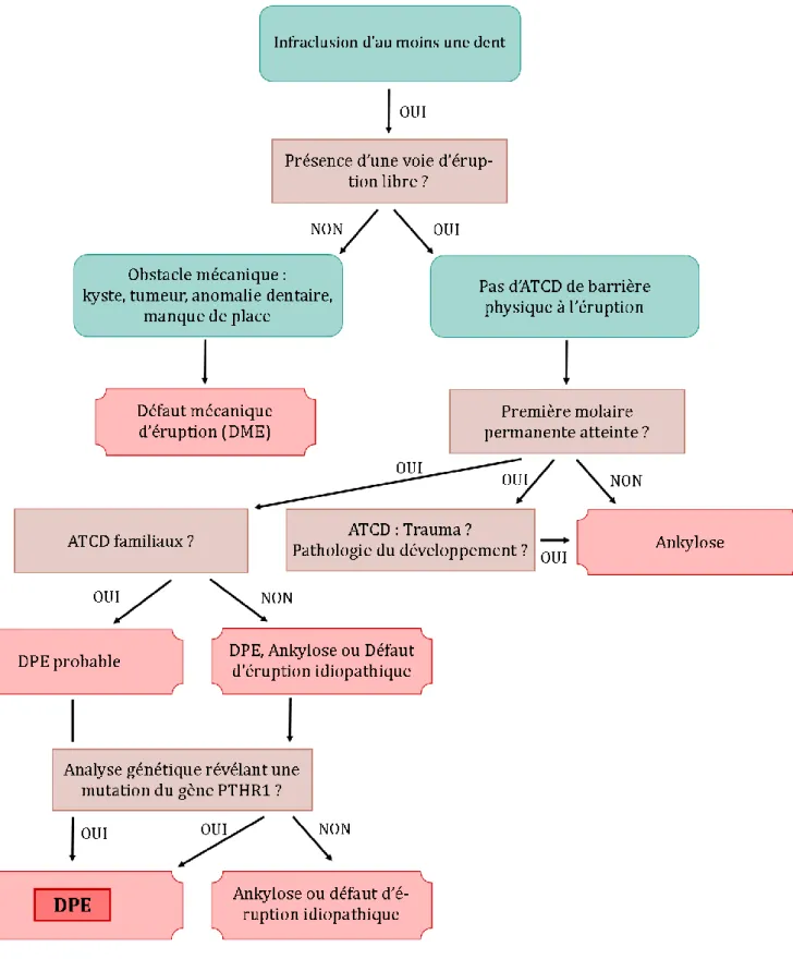 Figure 12 : Arbre décisionnel pour le diagnostic des défauts d'éruptions (composition personnelle,  d’après Rhoads [24] &amp; Quinque [26])