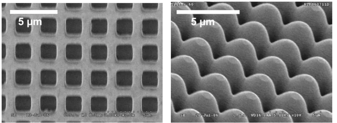 Figure 6.  SEM picture of a metallic master obtained by electrolysis from a rectangular (left) and sinusoidal (right, oblique view)  profile pattern  