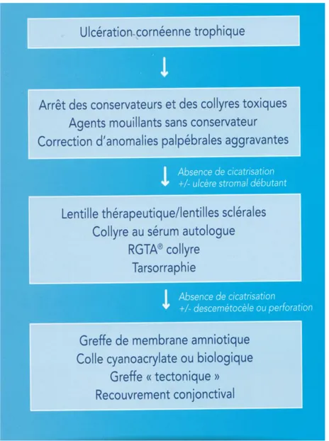 Figure 15 = Algorithme thérapeutique devant un ulcère neurotrophique 