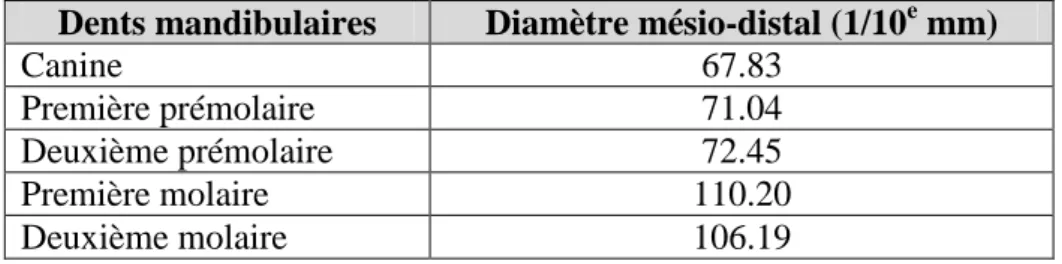 Figure 5 :  Mesure à l’aide du pied à coulisse, le trait de crayon correspond à la position  prospective du milieu de la 46