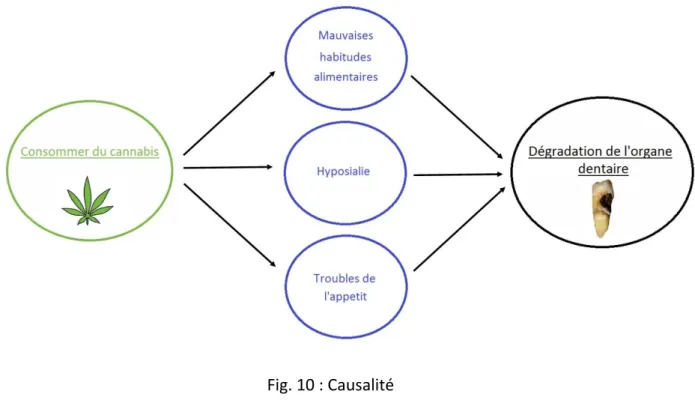 Fig. 10 : Causalité 