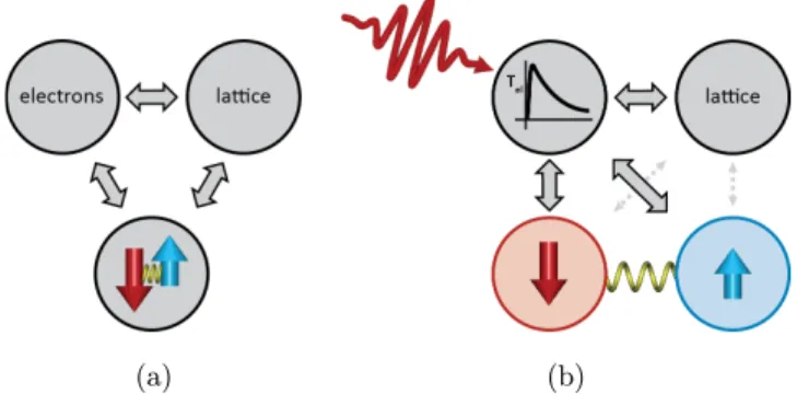 Fig. 1. Schematic illustration of the conventional (a) and of the ultrafast and distinct (b) spin dynamics
