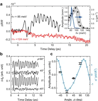 Fig. 3 Light-induced excitation and dynamics of oxygen octahedra rotations. a Time-resolved re ﬂ ectivity changes of the probe pulse at the central energy of 1.5 eV after mid-IR excitation at photon energies of 83 and 124 meV