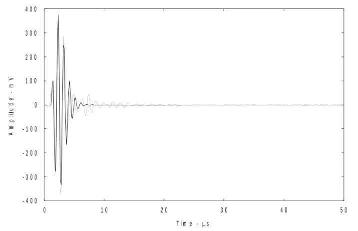 Figure 3 : Typical response to a pulse input [probes placed against each other (light grey curve)  and the parametric model fitted to it (thin black curve)]  