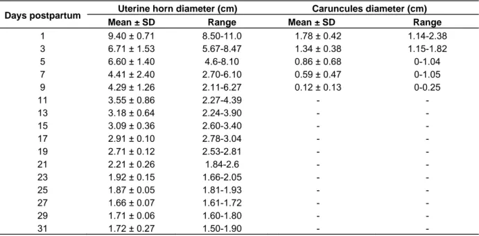 Table 1. Uterine and caruncules mean (± SD) and range diameters (cm) of Sahelian goats on different days postpartum