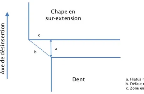Figure 5 : Schématisation simplifiée de l'adaptation marginale(5) 
