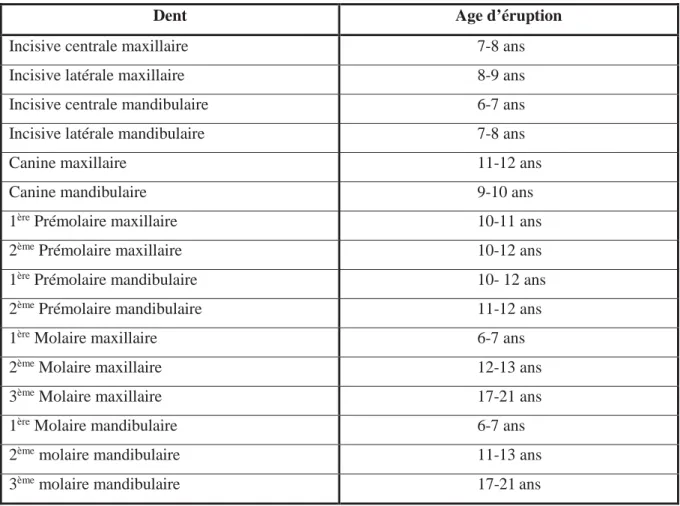 Tableau 3 Ages d'éruption des dents permanentes selon SCHOUR (1960)(10) 