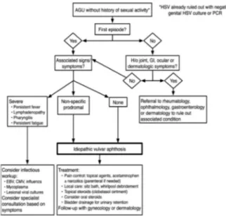 Figure 2: Algorithm for evaluation and treatment of acute geni- geni-tal ulceration (AGU) in young women (Rosman et al., 2012)  (HSV = Herpes Simplex Virus, PCR = Polymerase chain  reac-tion, GI - gastrointestinal, EBV = Epstein-Barr Virus, CMV =  Cytomega