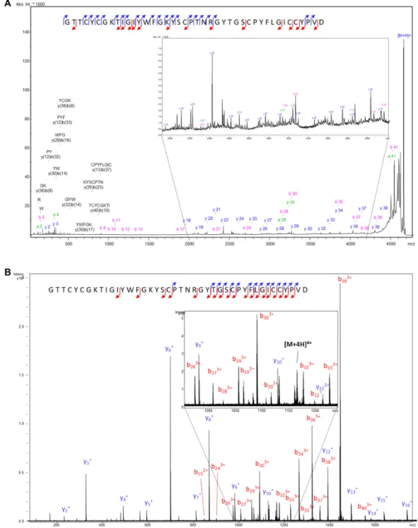 Figure  1.  MS/MS  spectra  characterizing  the  APETx4  sequence.  (A)  MALDI‐PSD‐TOF/TOF  of  the  [M+H] +  species @m/z 4651.02 and (B) ESI‐FT‐ICR MS/MS (CID) of the [M+4H] 4+  species @m/z 1163.76. 