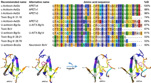 Figure  2.  In  the  upper  panel,  a  multiple  sequence  alignment  of  APETx4  and  its  homologous  sea  anemone  peptides  is  shown.  Peptide  names  recommended  by  UniProt  and  alternative  names  are  given. A Clustal Omega sequence alignment  w