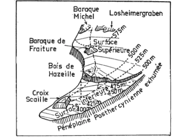 Fig.  7.  - Bloc  diagramme  schématique  de  l'allure  d'ensemble  des  sommets  de  la  Haute  Ardenne,  d'après  P