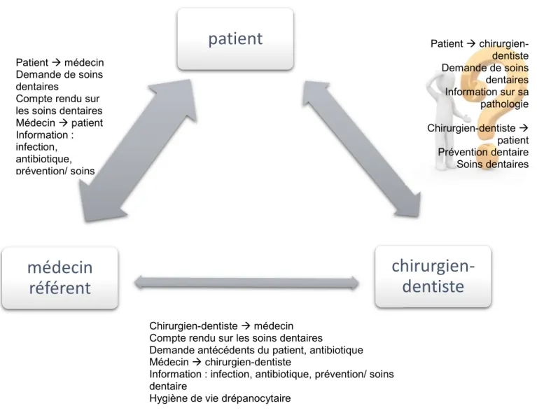 Figure 8 : La communication entre drépanocytaire médecin et chirurgien-dentiste 