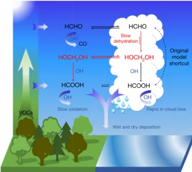 Fig. 2 | Schematic of the multiphase production of formic acid. The common  assumption in global atmospheric chemistry models is illustrated in black: 