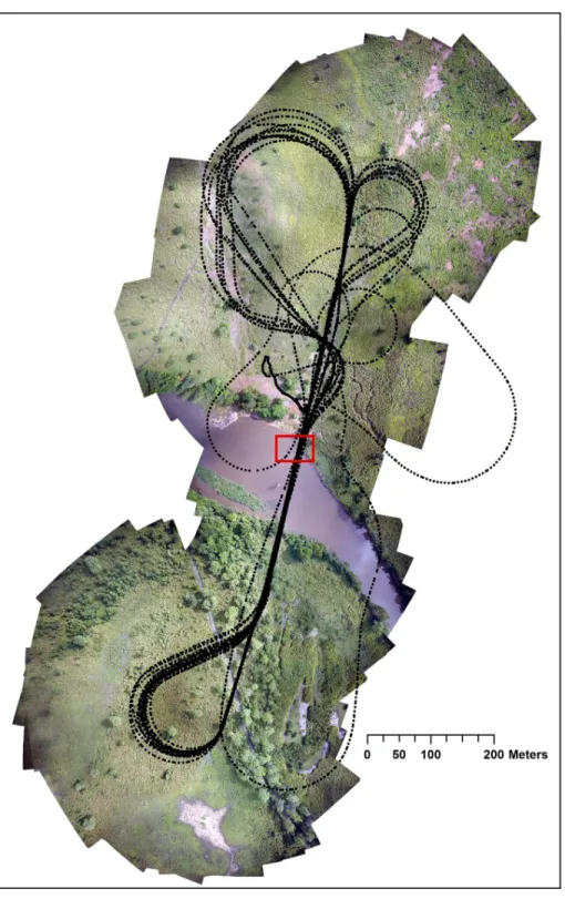 Fig 2. Flight plan tracking over the hippo school of Dungu. Black dots represent GPS points taken constantly during the flight and the red rectangle shows the location of the hippo school.