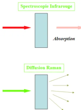 Figure 7: Schématisation de la spectroscopie infrarouge et la diffusion Raman 