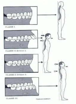 Figure 10 : Le curseur et la posture (30 p103) 