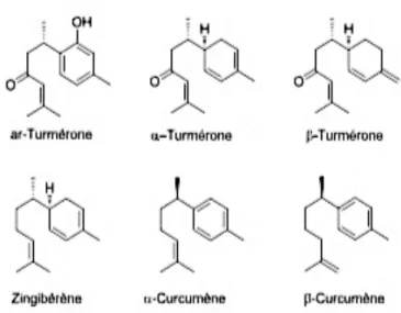 Figure 4 : Structure de quelques composants terpéniques retrouvés dans le curcuma 