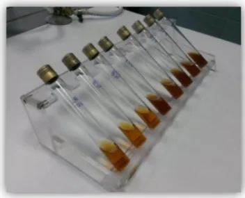 Figure 7: Protocole du test d'adhérence : méthode biofilm mono espèce sur  tube de verre incliné 