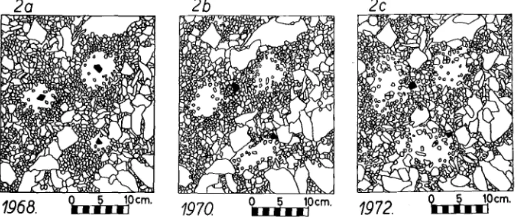 Fig. 2:  a)  En  1968,  des  cailloux  colorés  ont  été  placés  au  centre  de  polygones  triés
