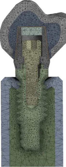 Figure 5 : Maillage tridimensionnel du model final 3D, d’après SAROT (68). 