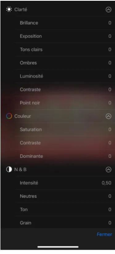 Figure 11 : Application photo  native de l'iPhone XR, source :  Thomas Chidiac