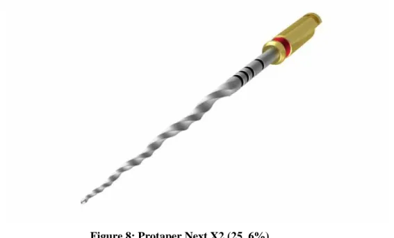 Figure 8: Protaper Next X2 (25, 6%) 