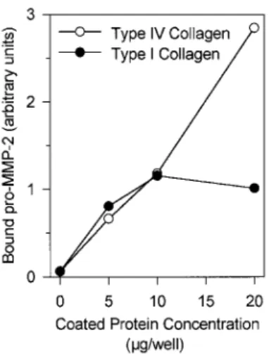 Figure 3: Pro-MMP-2 binding to type I and type IV collagens. Conditioned medium obtained from HT1080  cultured for 24 h on plastic was incubated in 96-well plates coated with increasing concentrations (0-20  µg/well) of type I or type IV collagens