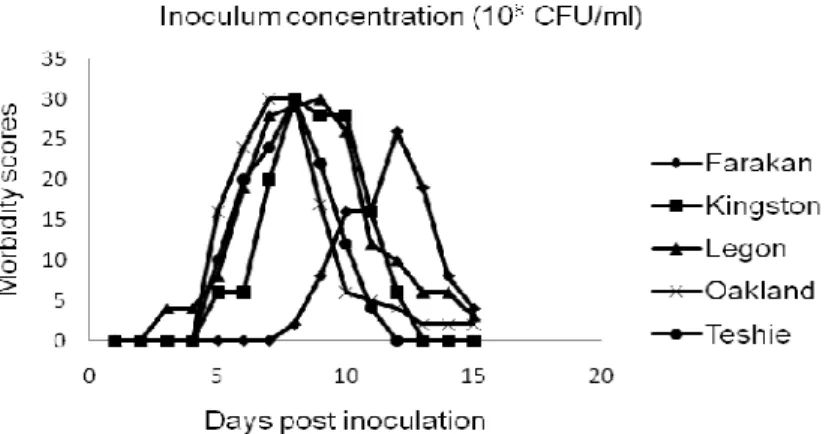 Figure 1a. Inoculum concentration of 10 8  CFU/ml. 