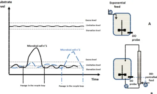 Fig. 9. Illustration of the scale-down reactor (B) principle and comparison with normal (A) 10 