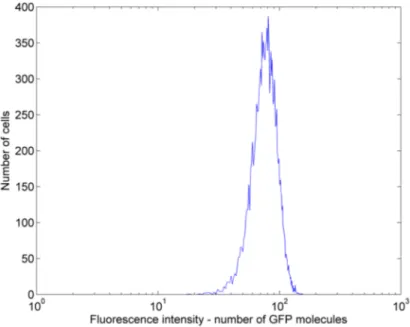 Fig. 5. Simulated histogram for the GFP content at the single cell level for a given time 5 