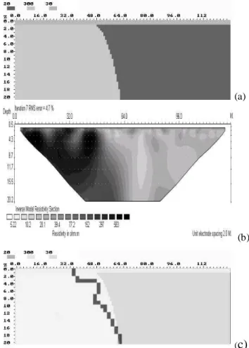 Fig. 1 Electrical tomography (after inversion) across the  escarpment of a presumed active fault - Jülich