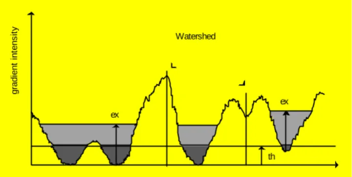 Fig. 6. Section in a gradient image illustrating the  principles of minimum gradient detection (th = threshold  level; ex = tolerance) and watershed divide line marking
