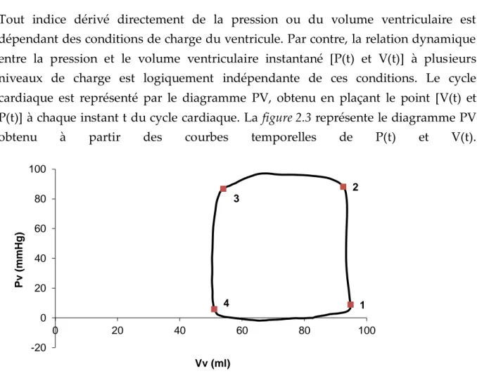 Figure 2.3.a Boucle PV. Pv, pression ventriculaire ; Vv, volume ventriculaire 