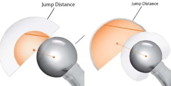 Figure 1 : augmentation de la « jump distance » dans la DM 