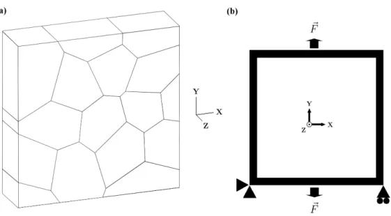 Fig. 4: Mesh and boundary conditions of tensile tests used for simulations. a) mesh with 16 grains