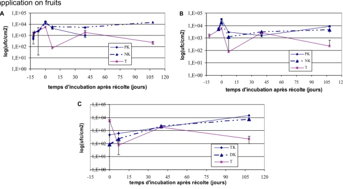 Graphique 3 :  Evaluation de la dynamique de population de la souche K en fonction de son mode d’application sur fruits (Assessment of population dynamic of strain K in relation with its mode of application on fruits A 1,E+001,E+011,E+021,E+031,E+041,E+05 