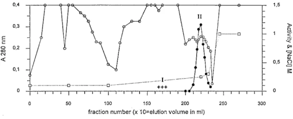 Figure 1. Elution of the DmpA and DmpB proteins from the QSFF column at pH 6.0. Activity is the v 0 value (!A/s) measured for