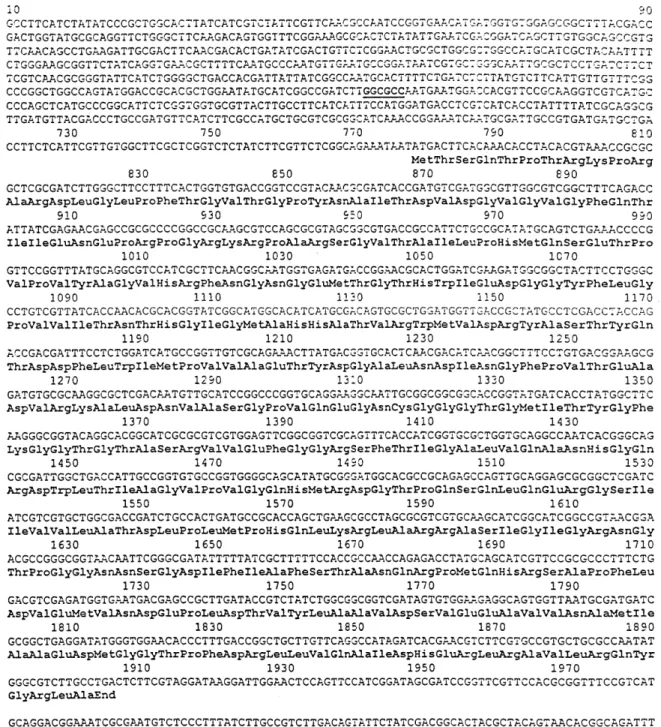 Figure 2. Sequenced O. anthropi LMG7991 genomic DNA fragment containing the dmpA gene, and the derived DmpA protein sequence