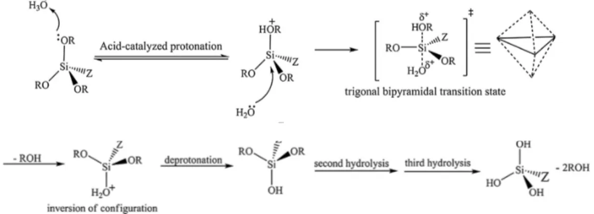 Figure 2: Taux d’hydrolyse en fonction du pH 
