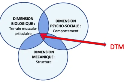 Figure 10. Modèle étiopathogénique à 3 dimensions.  