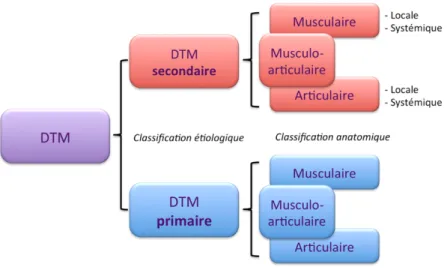 Figure 11. Classification étiologique et anatomique des DTM. (6) 