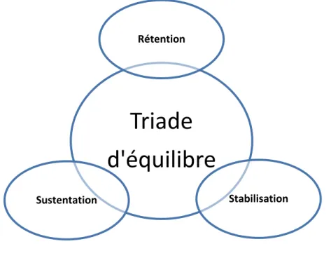 Figure 2 : Triade d’équilibre prothétique 