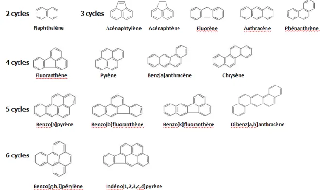 Figure 2.1   Structure moléculaire des HAP considérés comme prioritaires par US-EPA. 