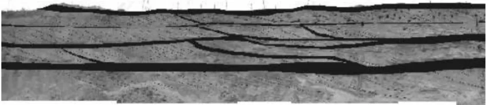 Figure 2 Interpreted photomosaic of quarry wall showing the silt facies consisting of clay-rich  bottomsets  and  distinct  mud  drapes  in  black
