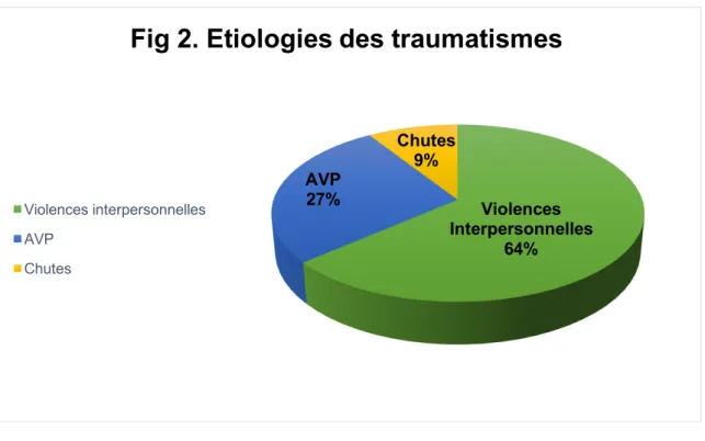 Fig 2. Etiologies des traumatismes 