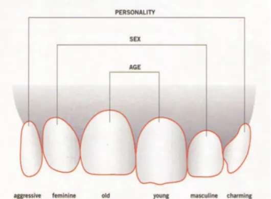 Figure 6 : Diagramme de Lombardi illustrant la relation entre les dents et l'âge, le sexe et  la personnalité (13) 