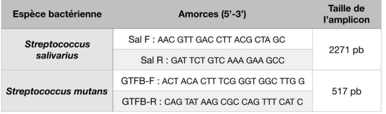 Tableau 7- Amorces pour la PCR des streptocoques salivarius et mutans  (101, 102)